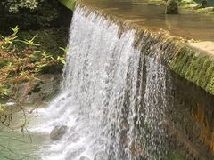 -武陵山森林公园