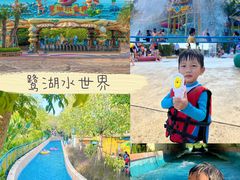 -美的鹭湖森林度假区