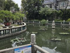 -碧江金楼
