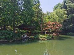 -杭州植物园