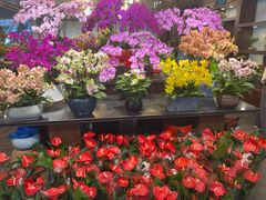 -双季花艺园艺市场(浦东店)