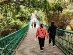 -南宁良凤江国家森林公园