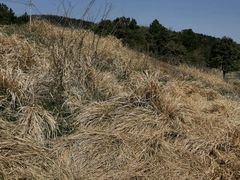 -南京市无想山景区