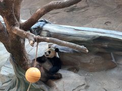 -宁波野生动物园