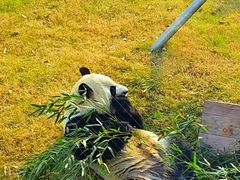 -无锡动物园·太湖欢乐园