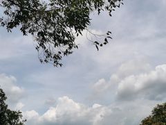 -火炉山森林公园