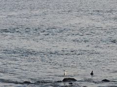 -深圳湾公园(南山区)