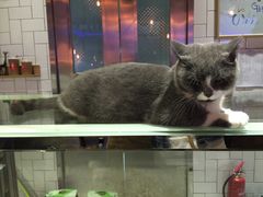 -MIKAKU(万达广场上海宝山店)