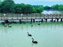 -野生动物园-停车场