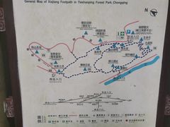 -铁山坪森林公园