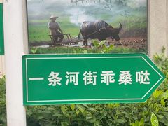-大小河街