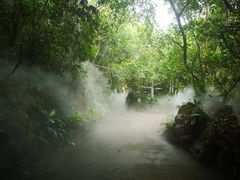 -呀诺达热带雨林