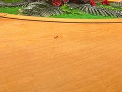 -小柴米·传统江西菜(八一广场店)