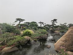 -罗红摄影艺术馆