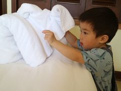 -三亚亚龙湾雅高铂尔曼别墅度假酒店
