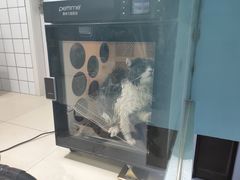 -老吴的猫·猫舍(新区店)