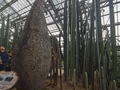 -南山植物园