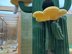 -帕帕拉兹宠物(亚洲旗舰店)