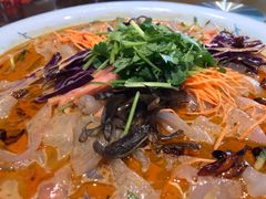 五彩大拉皮-那家老院子东北菜·饺子·小鸡炖蘑菇(艳华街店)