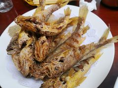 -鸿运美食府