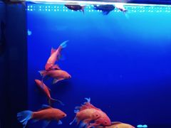 -知足堂养生会所(碑亭巷店)