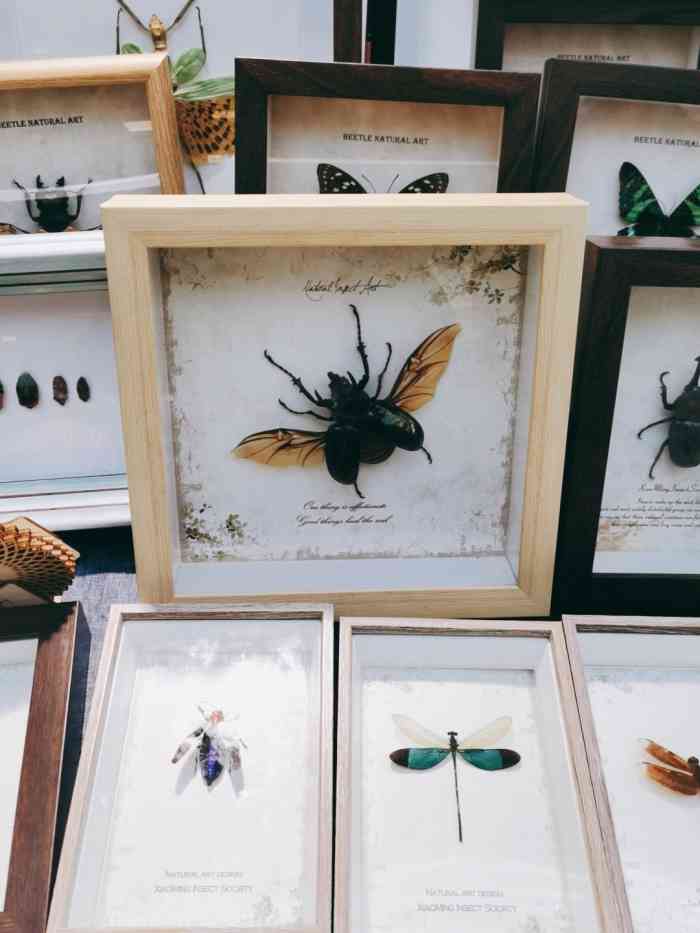 lion mall金狮广场-"新开业的金狮广场,哇咔咔,崂山区终于有个.