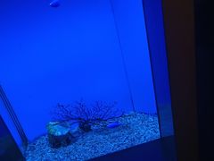 -北戴河圣蓝海洋公园