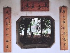 -荷塘月色湿地公园·向阳花洲