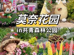 -上海共青森林公园