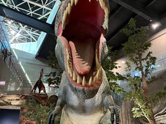 -湖南省地质博物馆