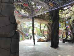 -横店影视城梦幻谷园区