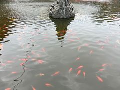 -会龙寺