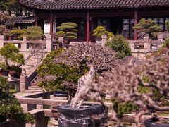 -虎丘山风景名胜区