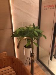 -苑苑vbeauty科技美容SPA