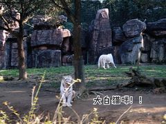 -杭州野生动物世界