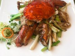 -锦江宾馆-花园餐厅