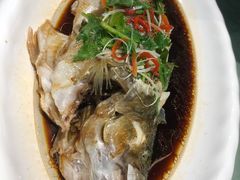 清蒸活鲈鱼-登瀛楼饭庄(领世郡店)