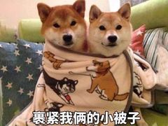 -深影国际影城(学院南路店CGS中国巨幕店)
