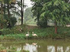 -宁波杭州湾国家湿地公园