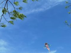 -海淀公园