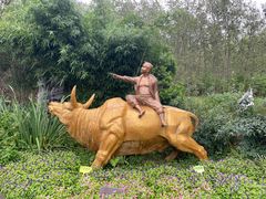 -合肥滨湖国家森林公园