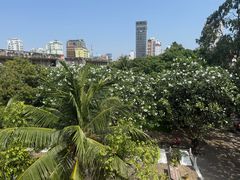 -吐斯廉屠杀博物馆