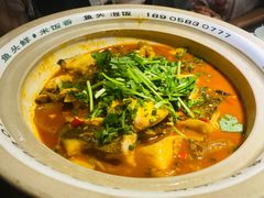 -魏铭鱼头捞饭(晋阳路店)