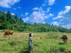 -山王坪喀斯特国家生态公园