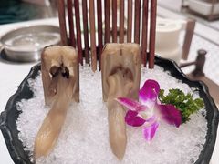 -帝皇海海鲜豆捞(桐泾商务广场店)