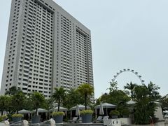 -新加坡文华东方酒店