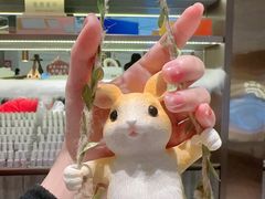 -海底捞火锅(龙岗星河COCO Park店)