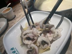 招牌鲜鱼片-淘米捞·米汤脆鲩鱼火锅(福田皇岗店)