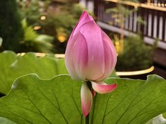 -醉香隆.山水庭院.湖北菜(东湖店)
