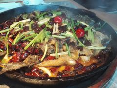 -老板恋上鱼(恒隆广场店)